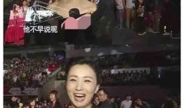 大瓜娱乐圈爆料音乐,揭秘音乐界幕后风云